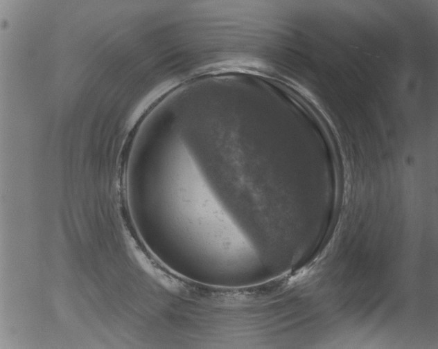 X0000056331042200508291247