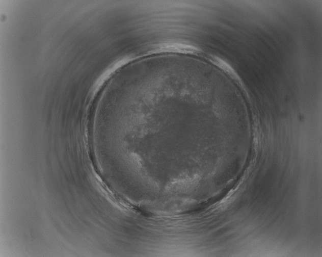 X0000056331043200508291247