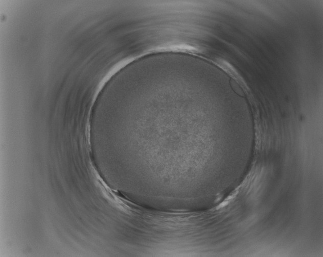 X0000056331044200508291247