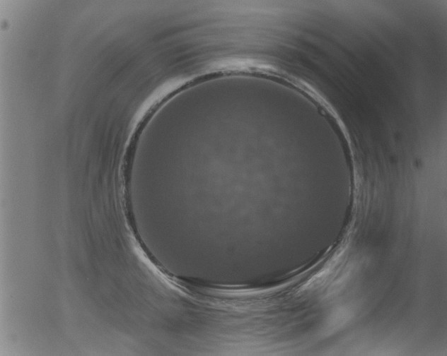 X0000056331045200508291247