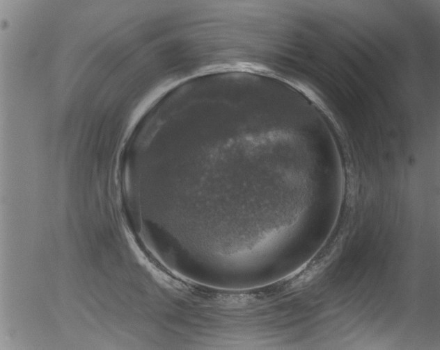 X0000056331046200508291247