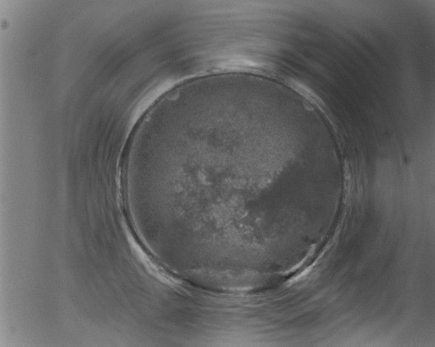 X0000056331047200508291247