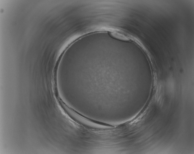 X0000056331048200508291247