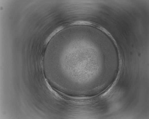 X0000056331049200508291247