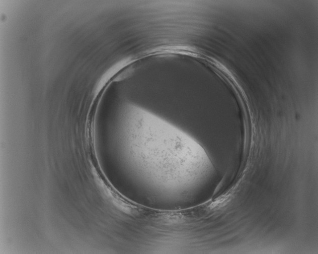 X0000056331050200508291247