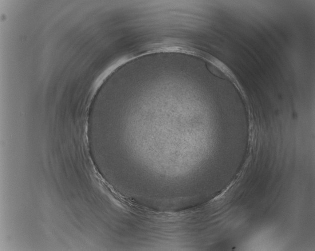 X0000056331051200508291247