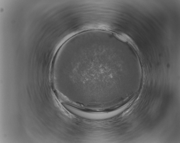 X0000056331052200508291247