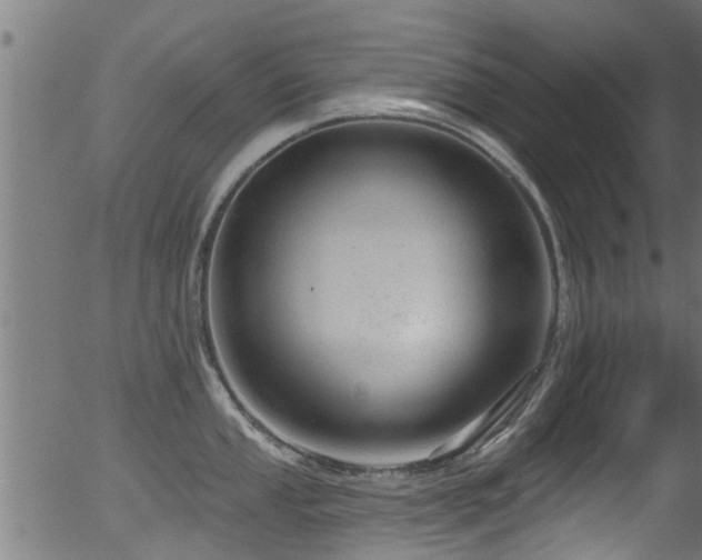 X0000056331053200508291247