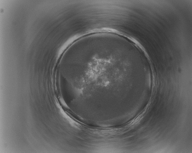 X0000056331054200508291247