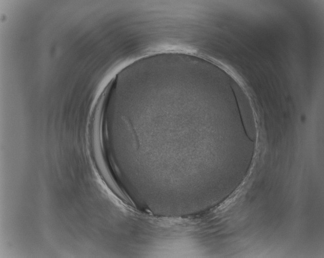 X0000056331056200508291247