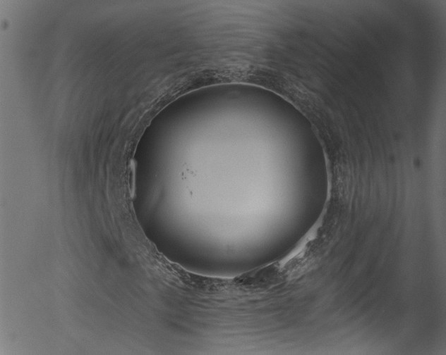 X0000056331057200508291246