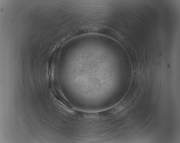 X0000056331058200508291246