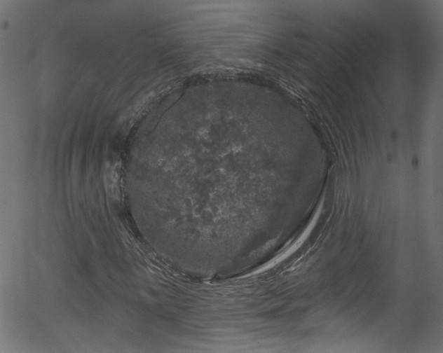 X0000056331059200508291246