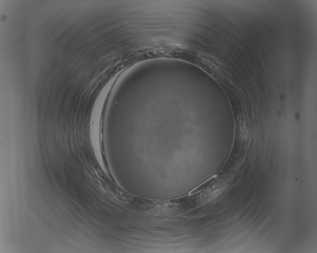 X0000056331060200508291246