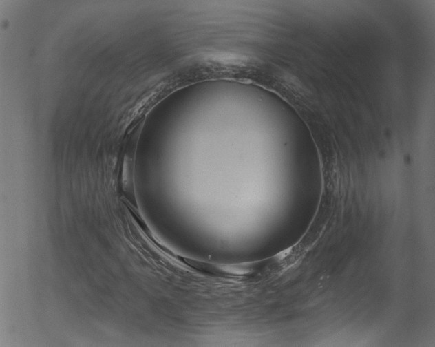 X0000056331061200508291246