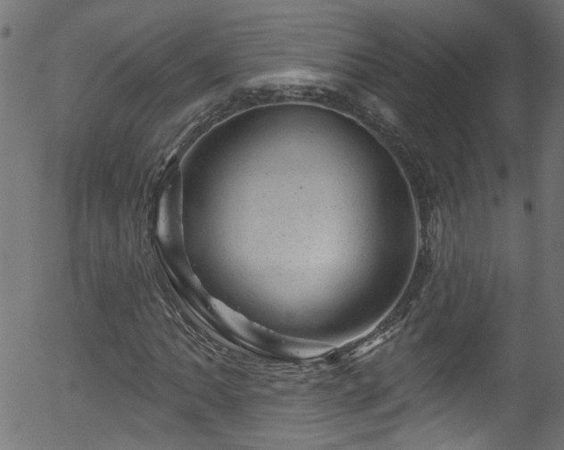 X0000056331062200508291246