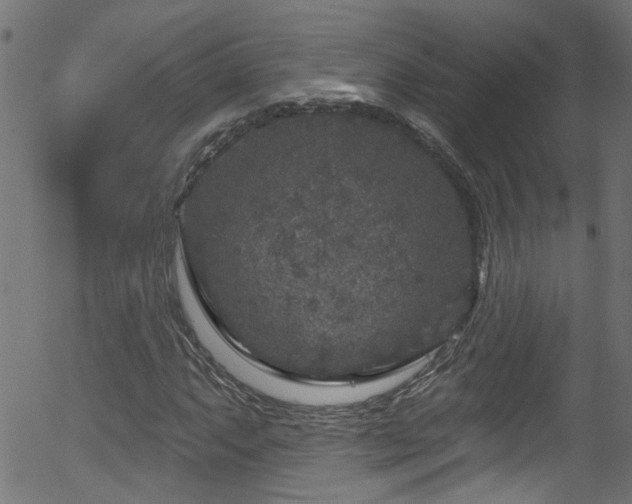 X0000056331063200508291246