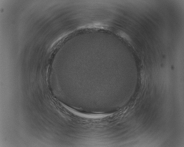 X0000056331064200508291246