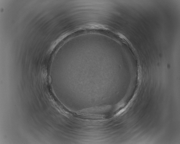 X0000056331065200508291246