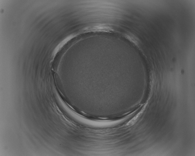 X0000056331066200508291246