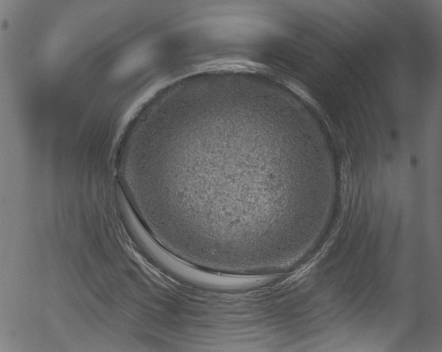 X0000056331067200508291246