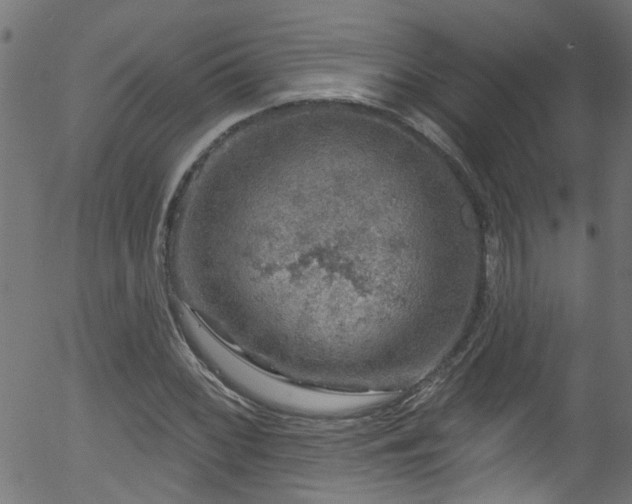 X0000056331068200508291246