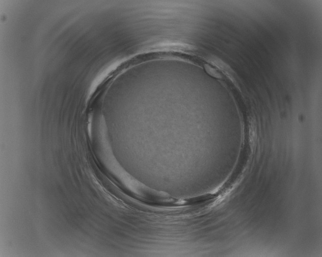 X0000056331069200508291246