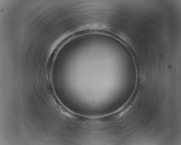 X0000056331070200508291246