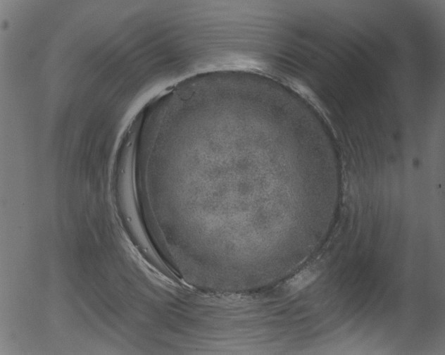 X0000056331072200508291246