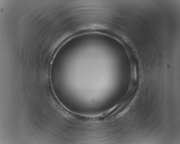 X0000056331073200508291246