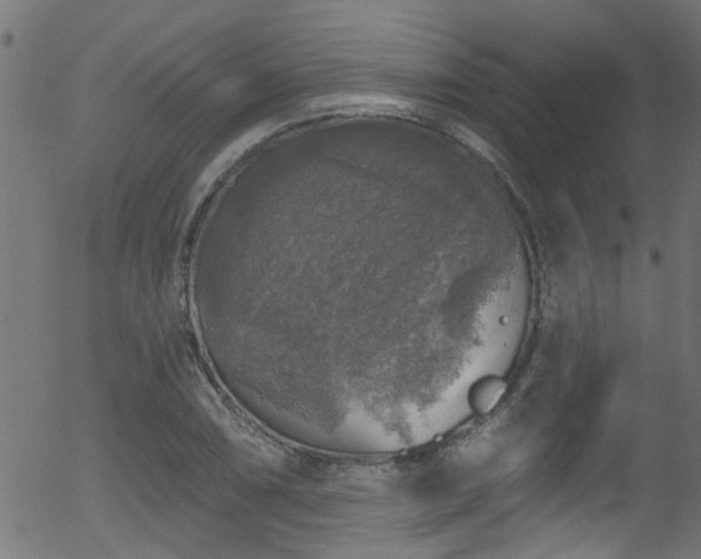 X0000056331074200508291246