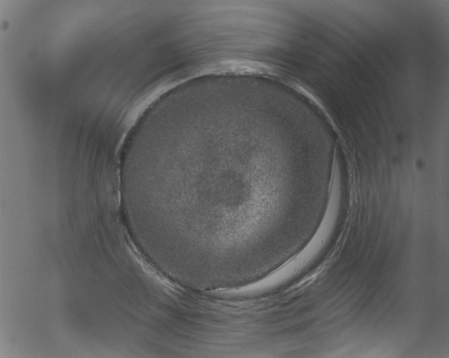 X0000056331075200508291246