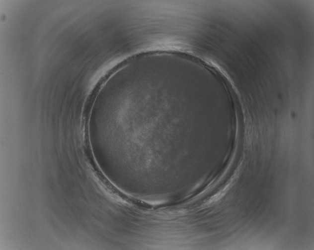 X0000056331077200508291246