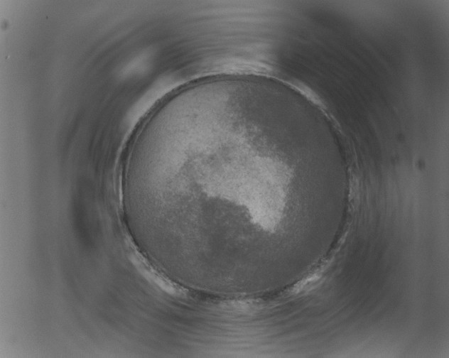 X0000056331078200508291246