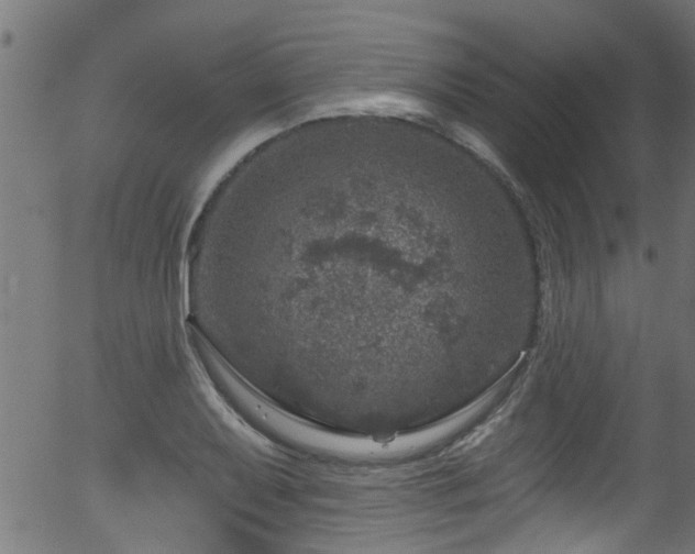 X0000056331079200508291246