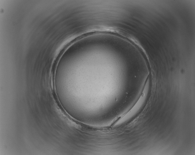 X0000056331080200508291246