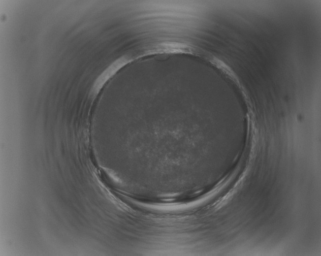 X0000056331081200508291246