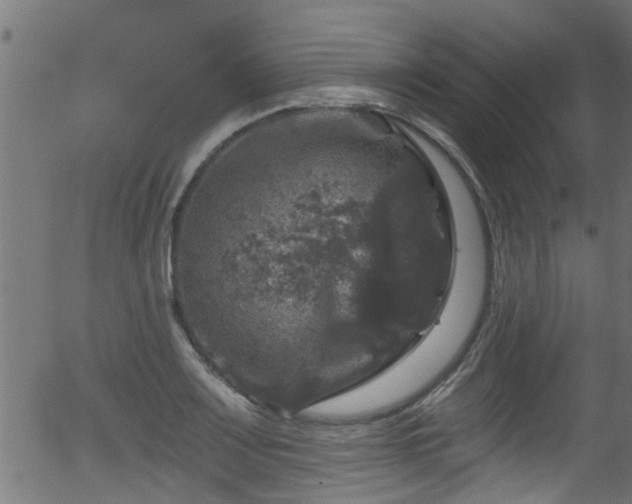 X0000056331083200508291246