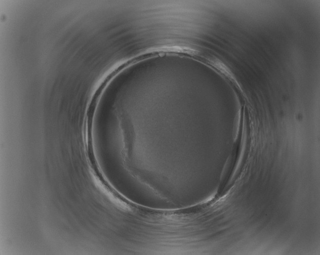 X0000056331084200508291246