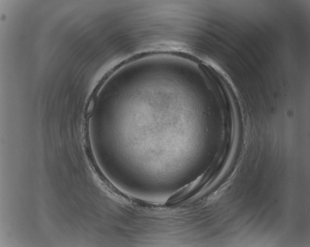 X0000056331085200508291246