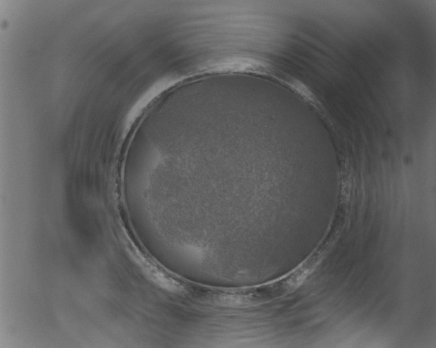 X0000056331086200508291246