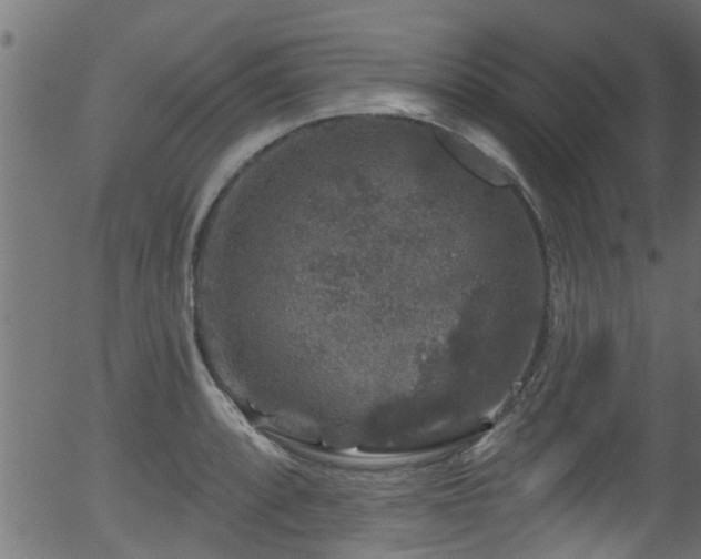 X0000056331088200508291246