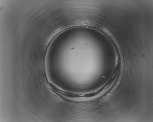 X0000056331089200508291246