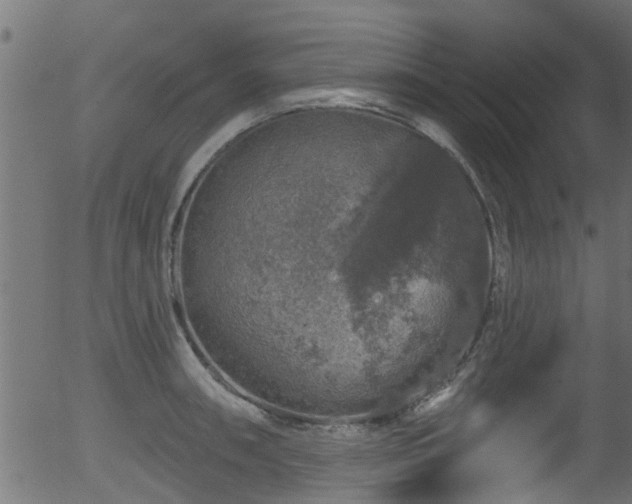 X0000056331090200508291246