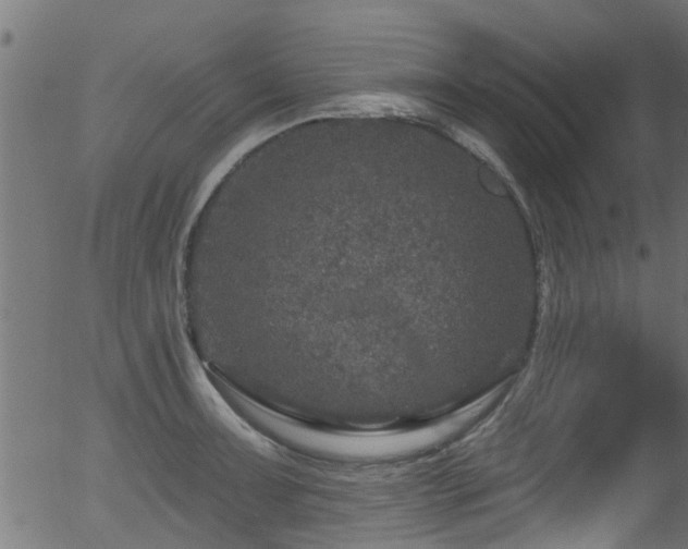 X0000056331091200508291246