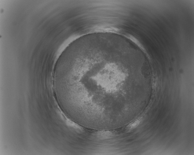 X0000056331094200508291246