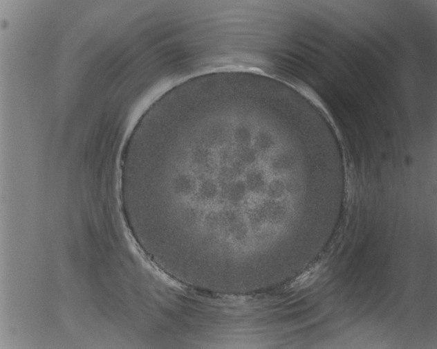 X0000056331096200508291246