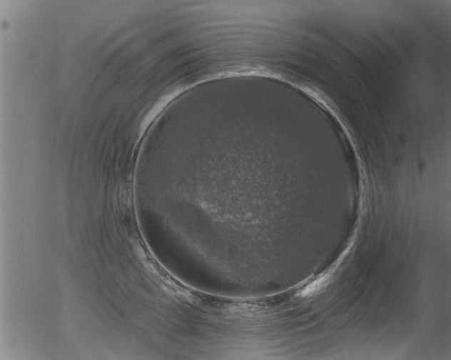 X0000056331097200508291246