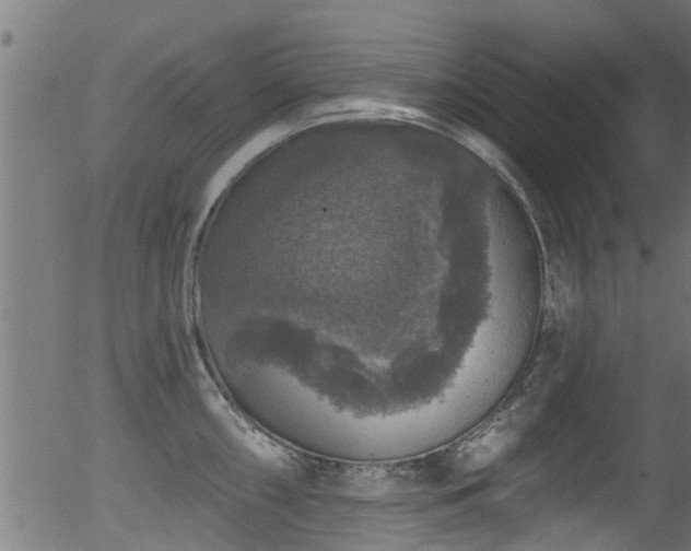 X0000056331098200508291246