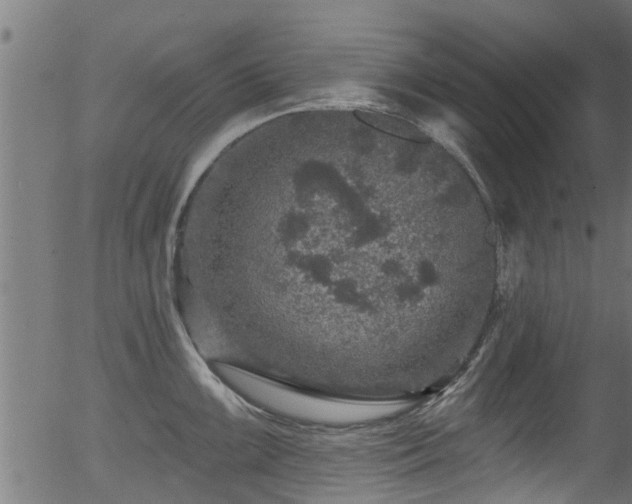 X0000056331099200508291246